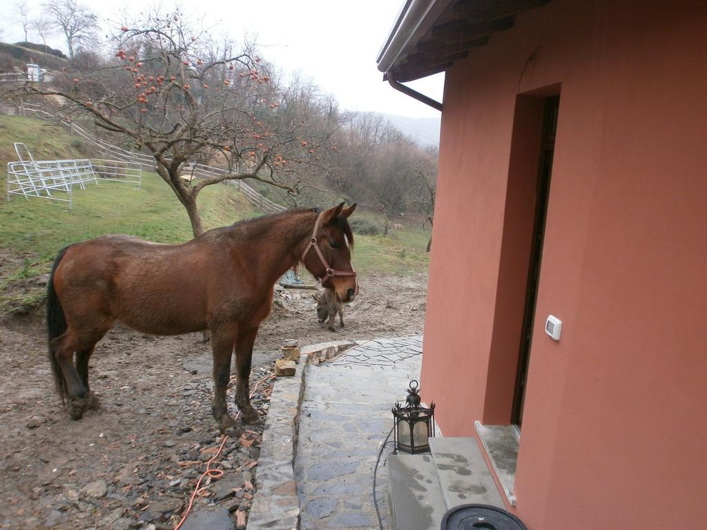 Bed and Breakfast I Poggi Di Grace Фівіццано Екстер'єр фото